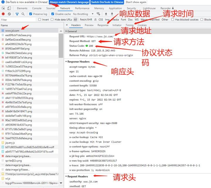 接口自动化测试 —— 工具、请求与响应