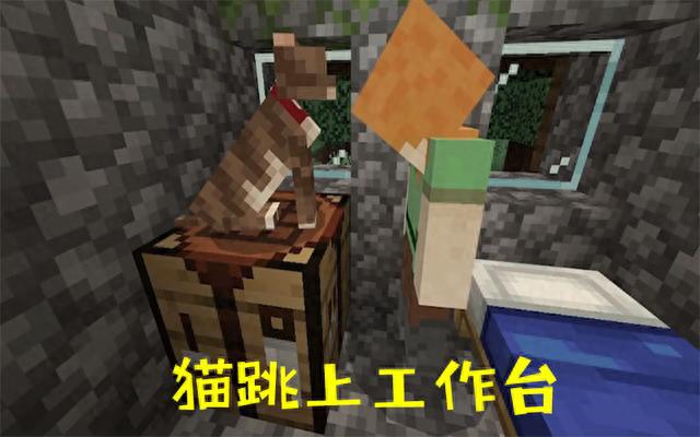 骨灰级对比：猫狗战我的世界，近乎完美的生存指南