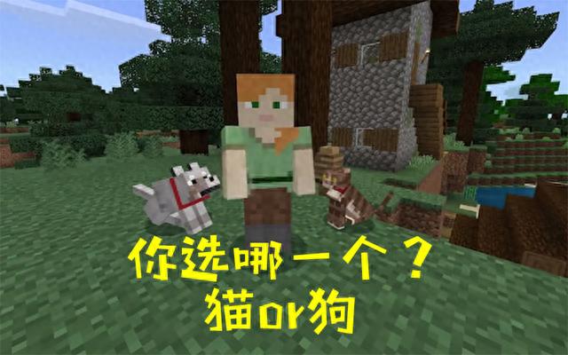 骨灰级对比：猫狗战我的世界，近乎完美的生存指南