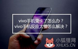 vivo手机太卡了怎么办 vivo手机卡顿反应慢怎么办