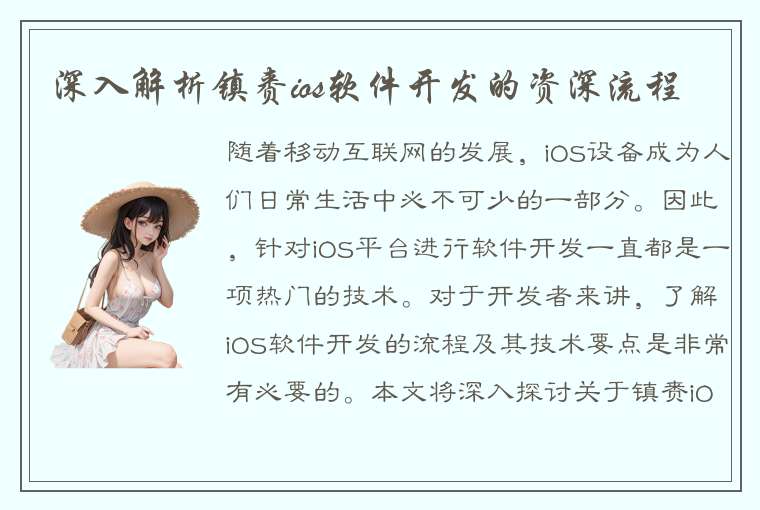 深入解析镇赉ios软件开发的资深流程