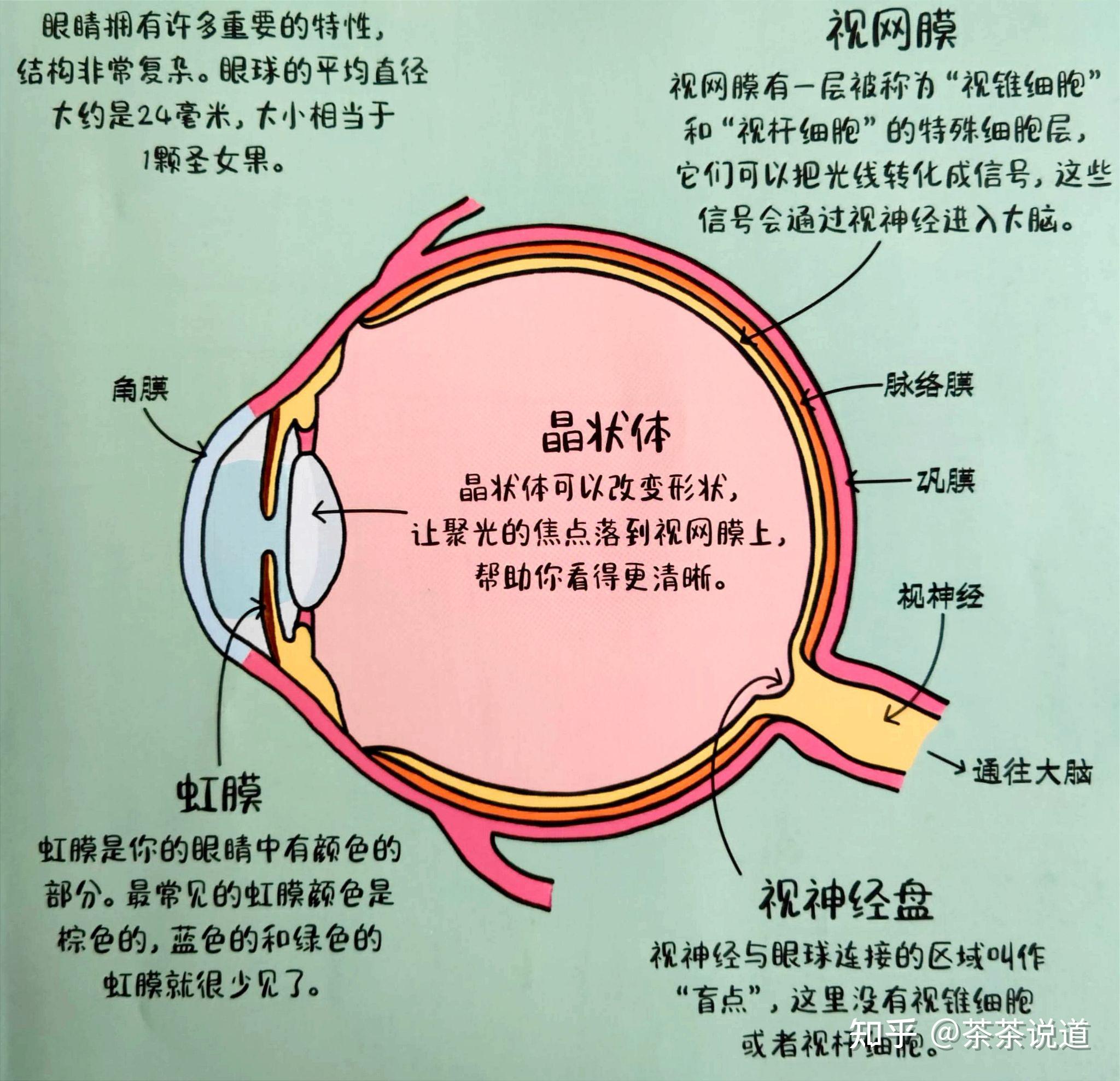 _认识理解成为_认识理解成为超越