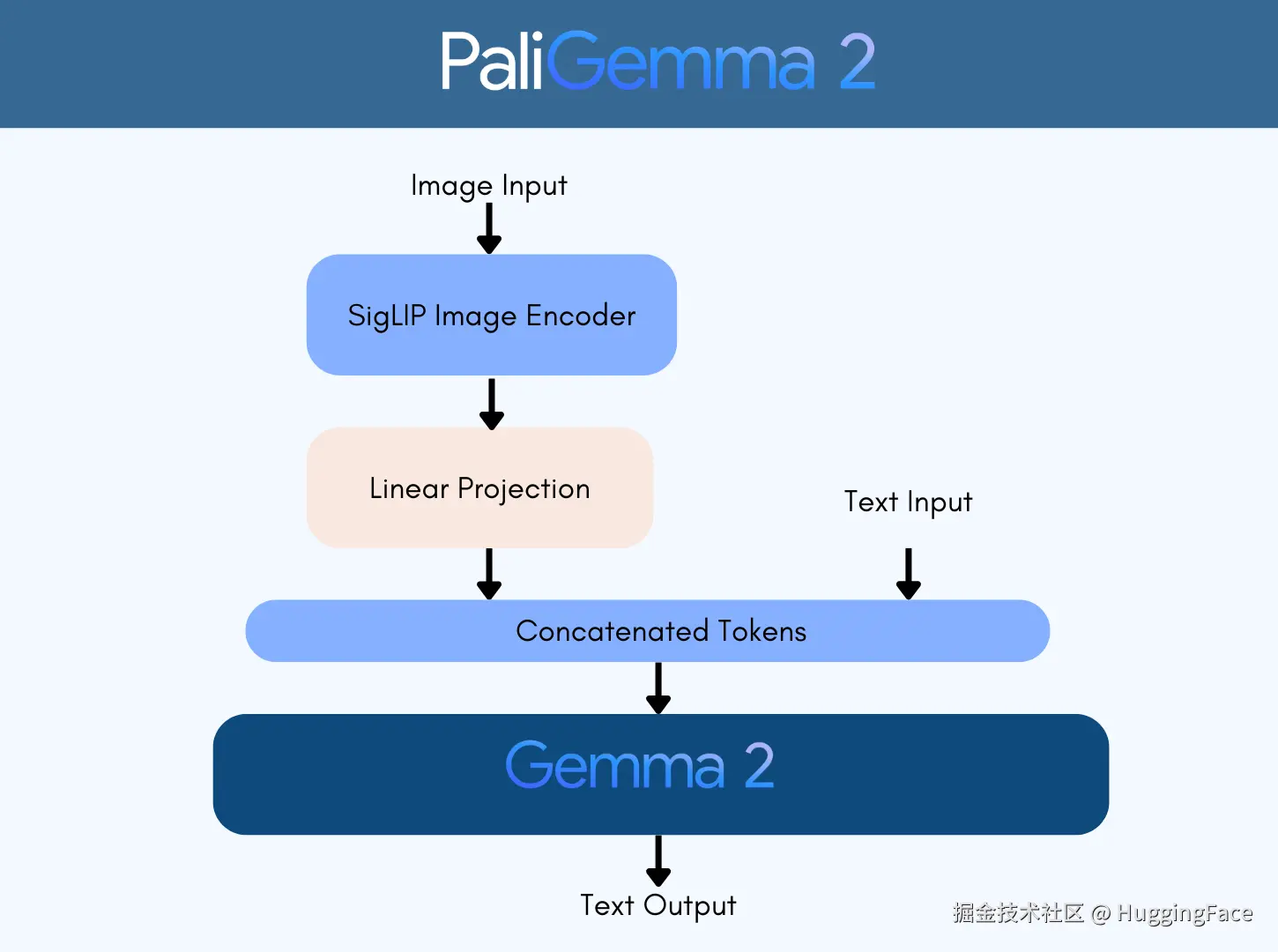 PaliGemma2 Architecture